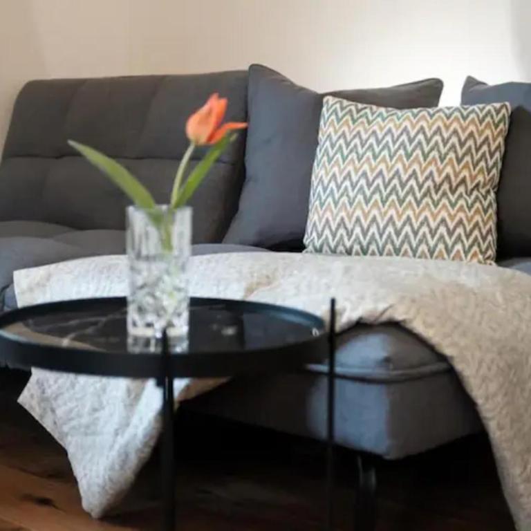 Großzügiges, charmantes Appartement in Salzburg by Fiorentino - Apartment mit 1 Schlafzimmer - 3