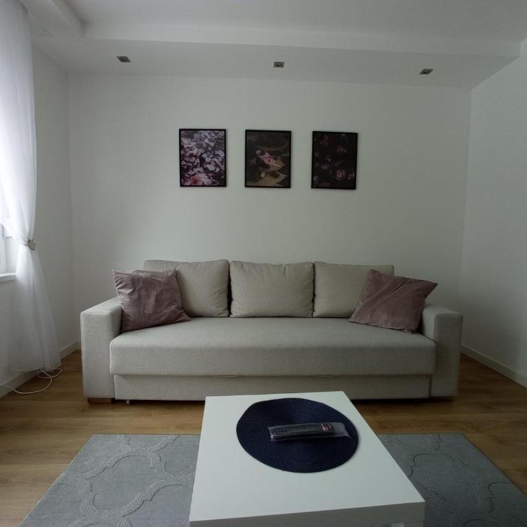 Apartmani Šišarka - Apartman sa 1 Spavaćom Sobom - 1