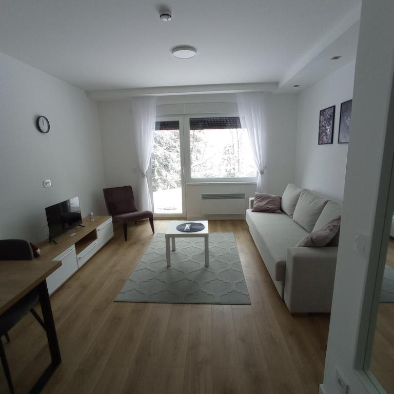 Apartmani Šišarka - Apartman sa 1 Spavaćom Sobom - 7