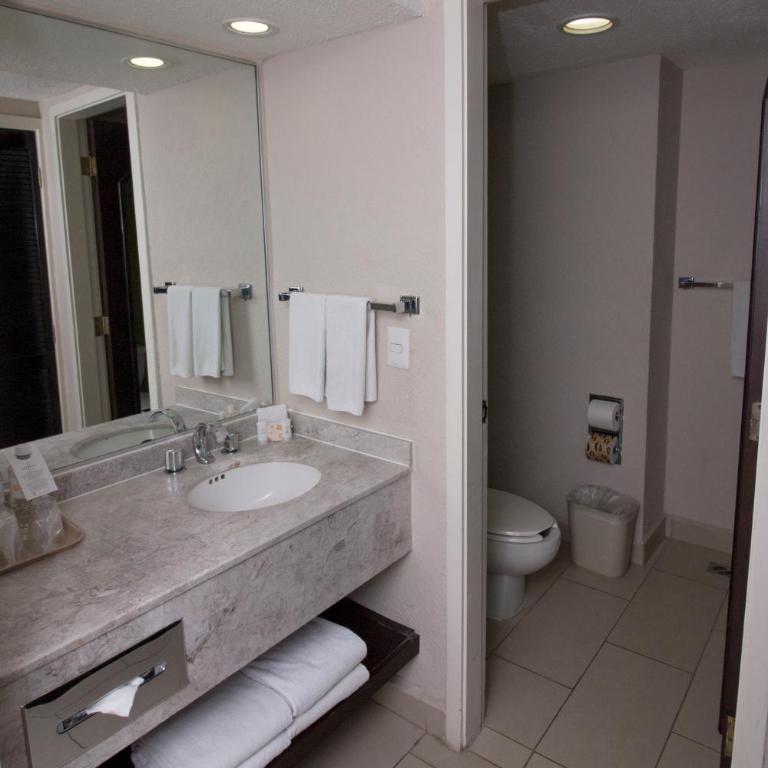 CHN Hotel Monterrey Centro, Trademark Collection by Wyndham - Executive King Room with City View - Non-Smoking - 4