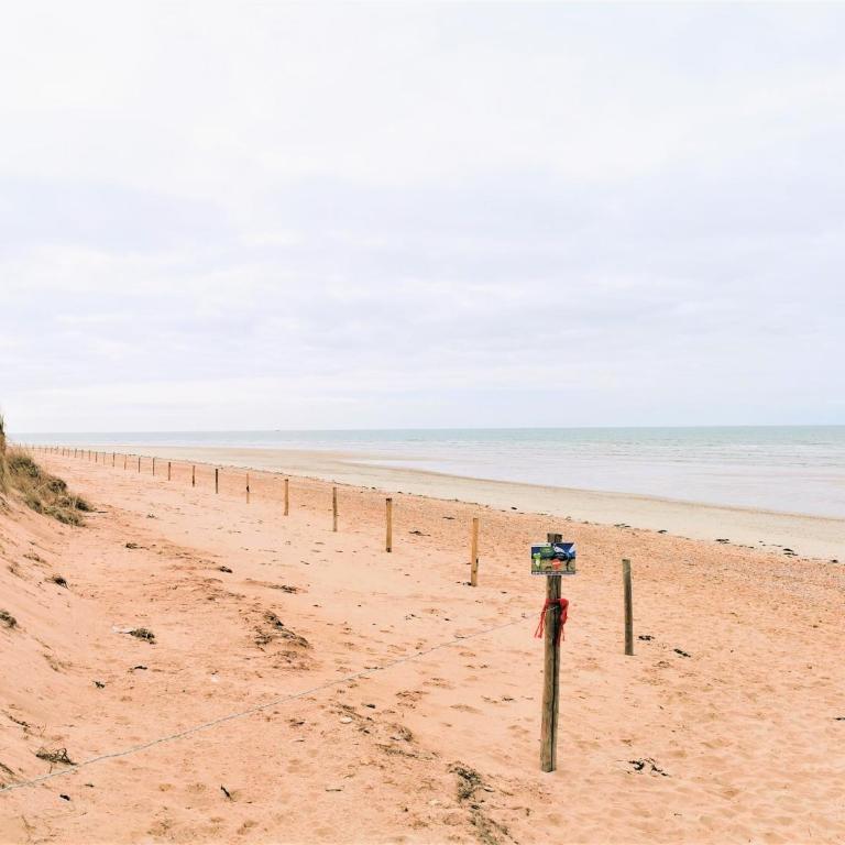 Les Jacinthes - Maison de Vacances - 2