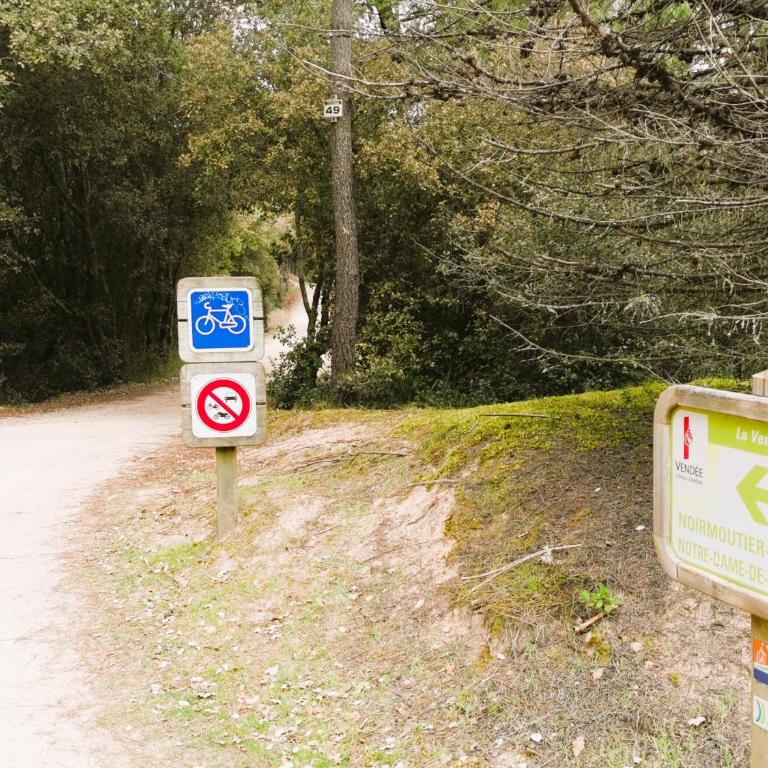 Les Jacinthes - Maison de Vacances - 18