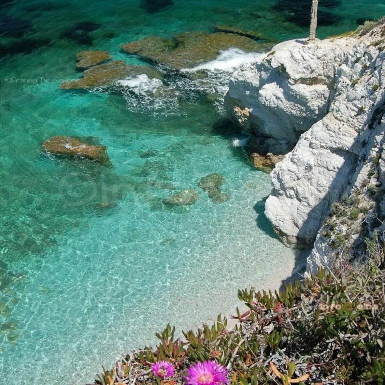 Mare Fuori - Appartamento con 1 Camera da Letto - 22