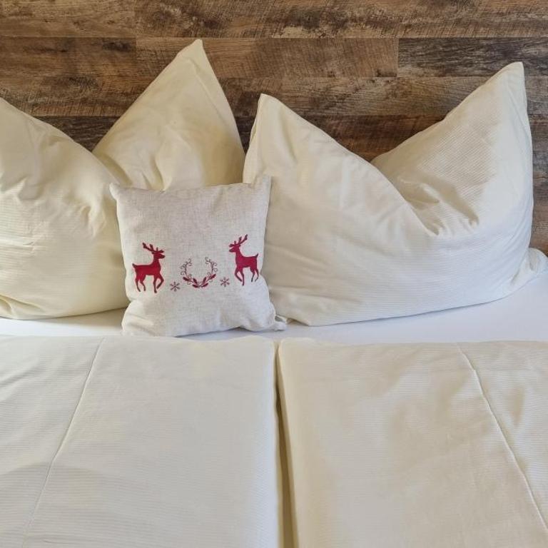 Bergfrieden Leutasch/Seefeld - Classic Doppelzimmer - 1