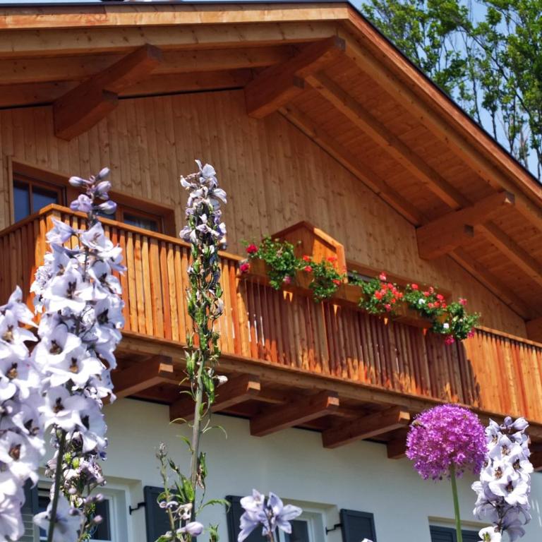 Haus Schlernblick - Studio-Apartment - 1