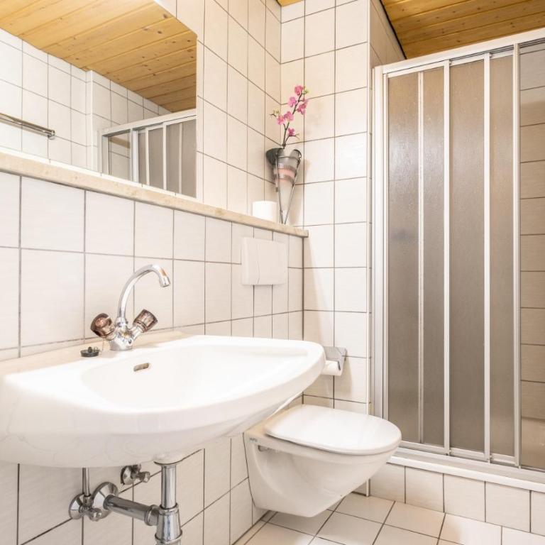 Haus Standlgut Rauris -- incl Sommercard - Apartment mit Balkon - 8