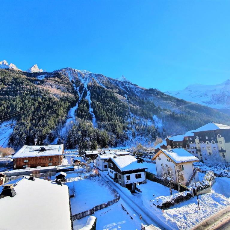 Grand Studio Aiguille du Midi et vue Mont Blanc - Appartamento con Vista Montagna - 4