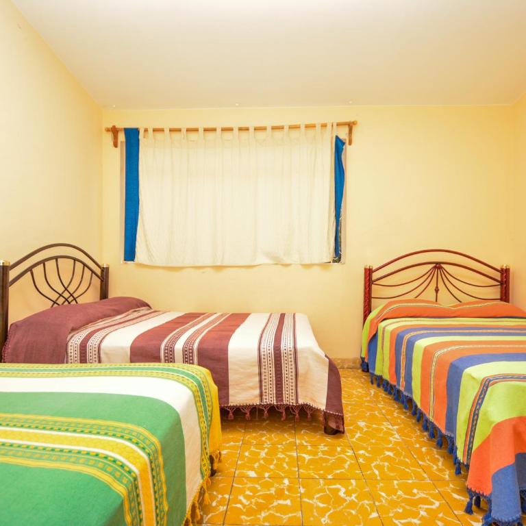 Los Nardos Hostel -pet friendly- - Family Room - 2