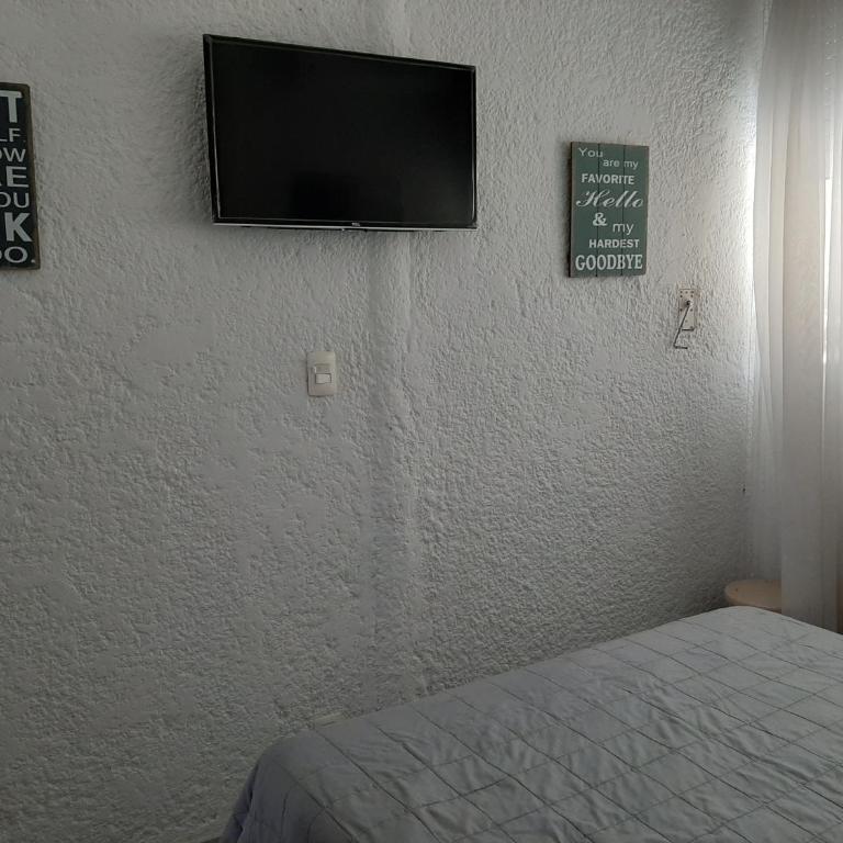 Apartamento con entrada independiente y jardín - One-Bedroom Apartment - 8