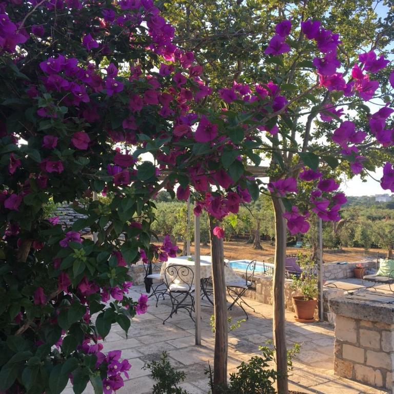 Trulli Il Pinnacolo Verde - Casa Vacanze - 25