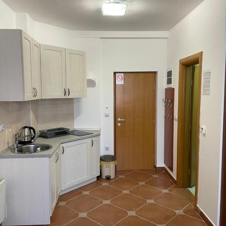 Vila Nina Kopaonik - Standard Studio - 5