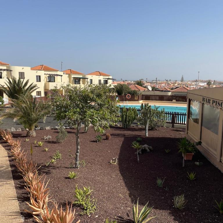 Teresita Deluxe with pool - Two-Bedroom Apartment - 22