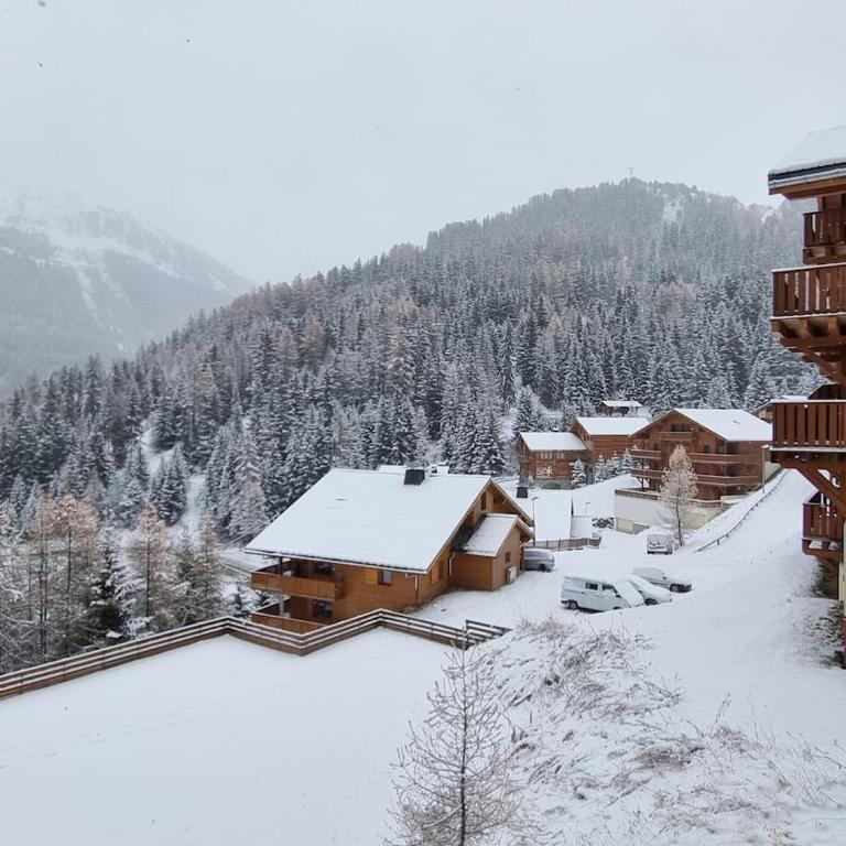 The little refuge of La Plagne (French Alps) - Appartement 1 Chambre - 1