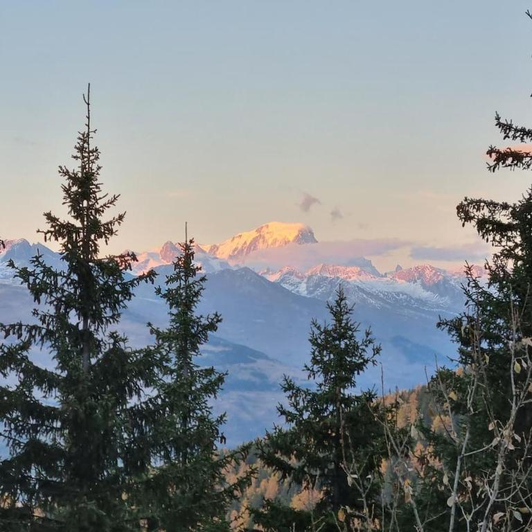 The little refuge of La Plagne (French Alps) - Appartement 1 Chambre - 5