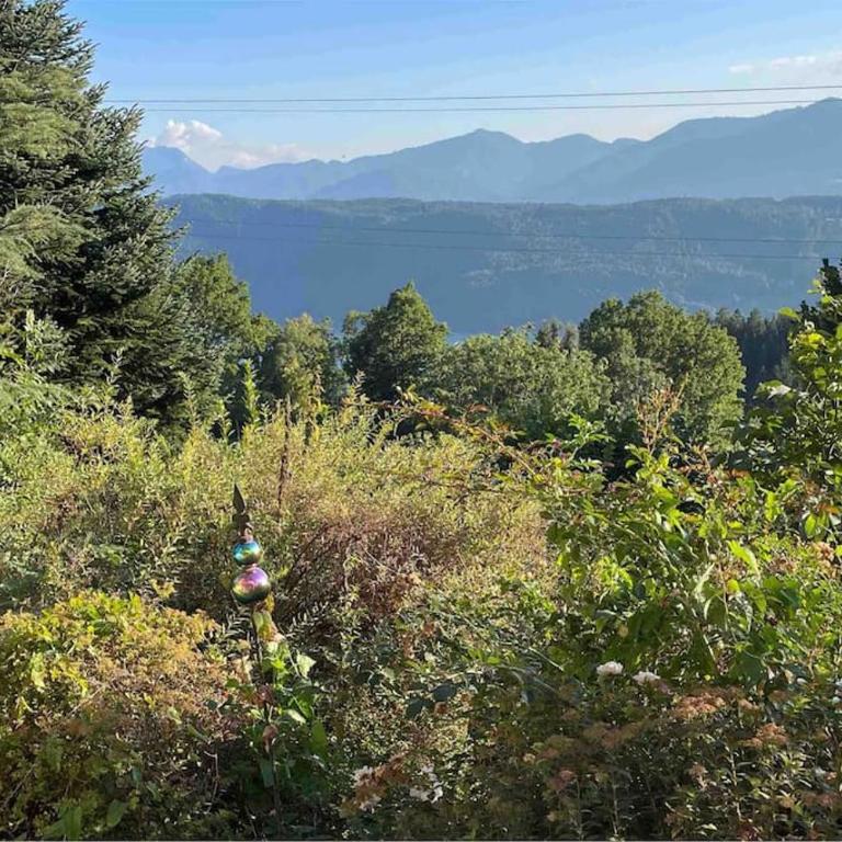 Casa de la Paz, Millstatt - geräumige neu ausgestattete FeWo mit Seeblick und Bergpanorama - Apartment mit Seeblick - 23