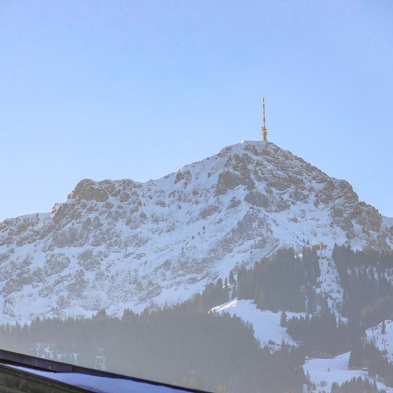 Appartementhaus Chalet Alpina - Estudio con ducha - 4