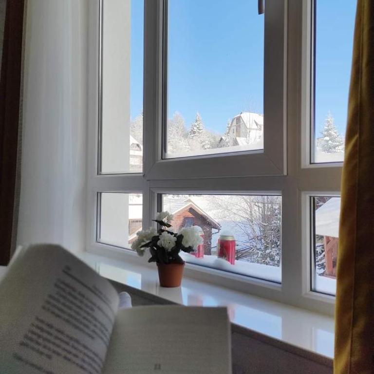 apartman Kraljevi čardaci Sadikovic sa garažom - Apartment with Mountain View - 11