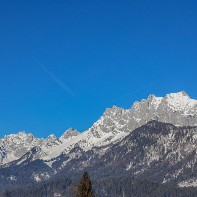 Appartementhaus Chalet Alpina - Apartamento de 2 dormitorios - 2