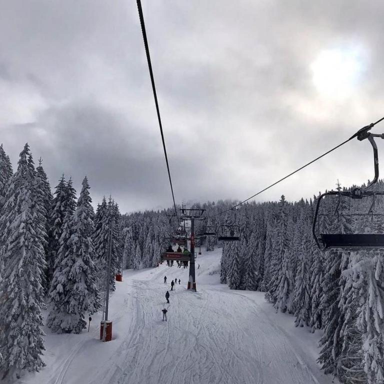 Milmari Future Gold Apartmani Kopaonik - Apartman sa 1 Spavaćom Sobom - 4