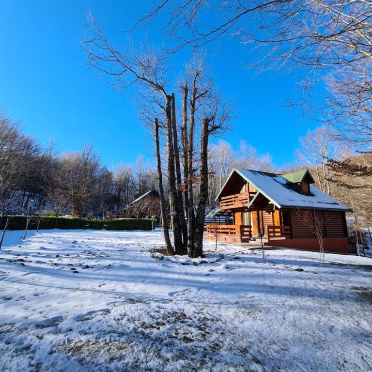 Vikendica Crkvina - Kuća sa 3 Spavaće Sobe - 44
