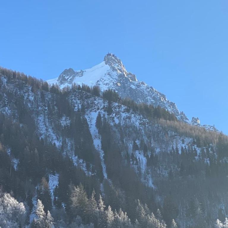 Chamois de Chamonix, Confortable 2 pièces, balcon, parking gratuit - Apartamento con balcón - 4