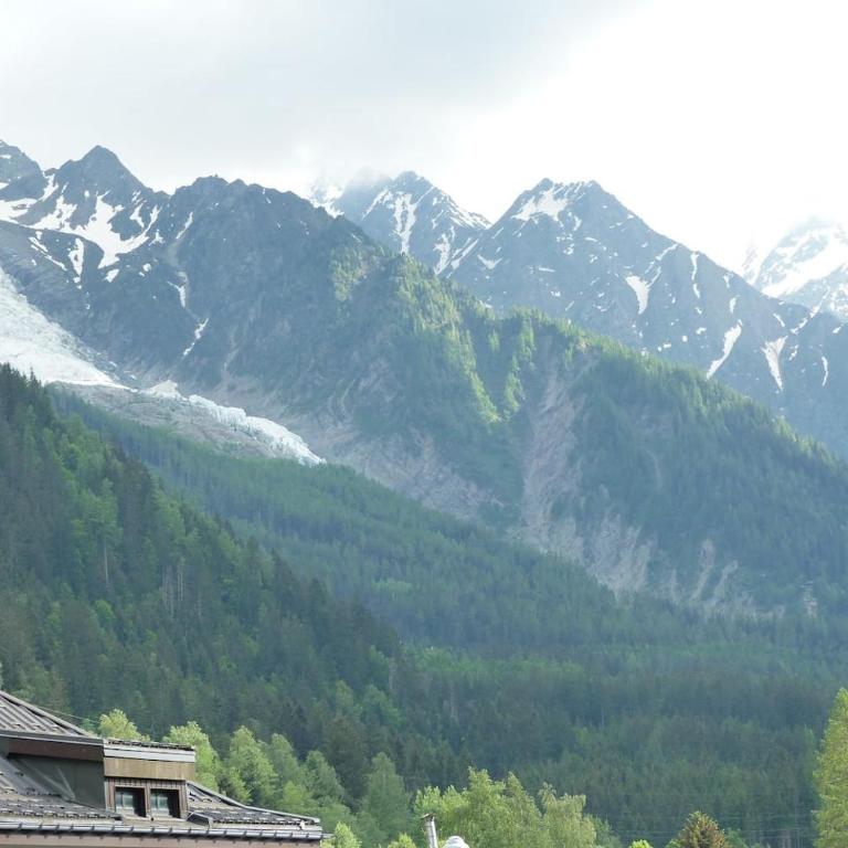 Chamois de Chamonix, Confortable 2 pièces, balcon, parking gratuit - Apartamento con balcón - 12