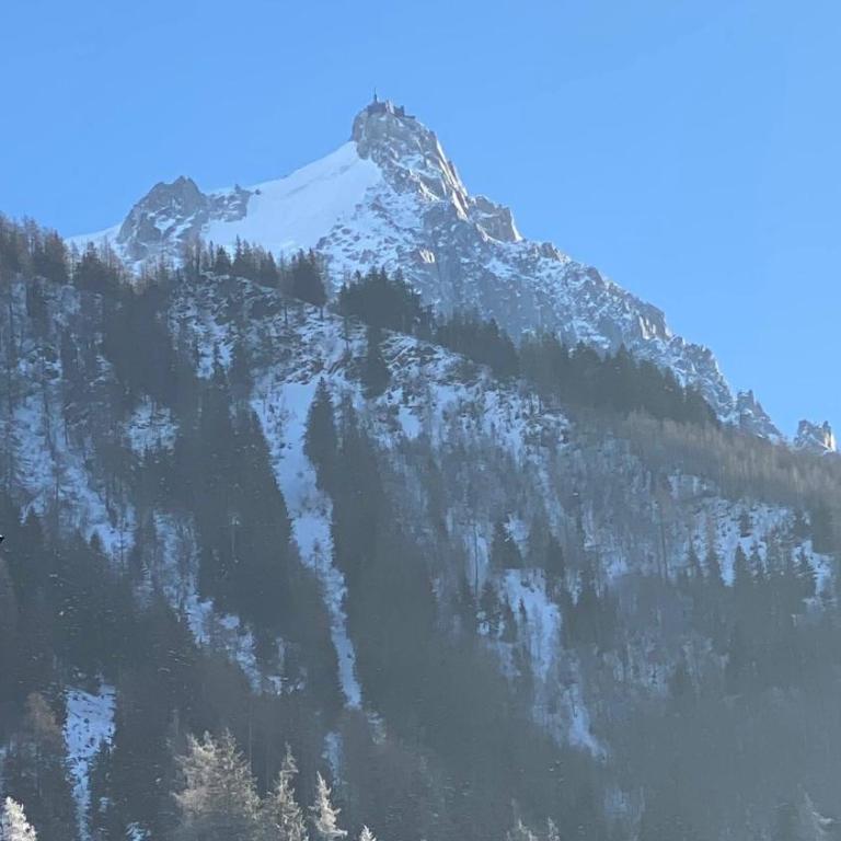 Chamois de Chamonix, Confortable 2 pièces, balcon, parking gratuit - Apartamento con balcón - 17