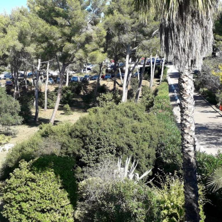 Athéna Résidence Bandol - Piscine et Tennis - Apartment mit 1 Schlafzimmer - 37