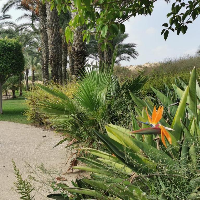 Sol y Alma Mediterranean Apartment - Apartment mit 2 Schlafzimmern - 22