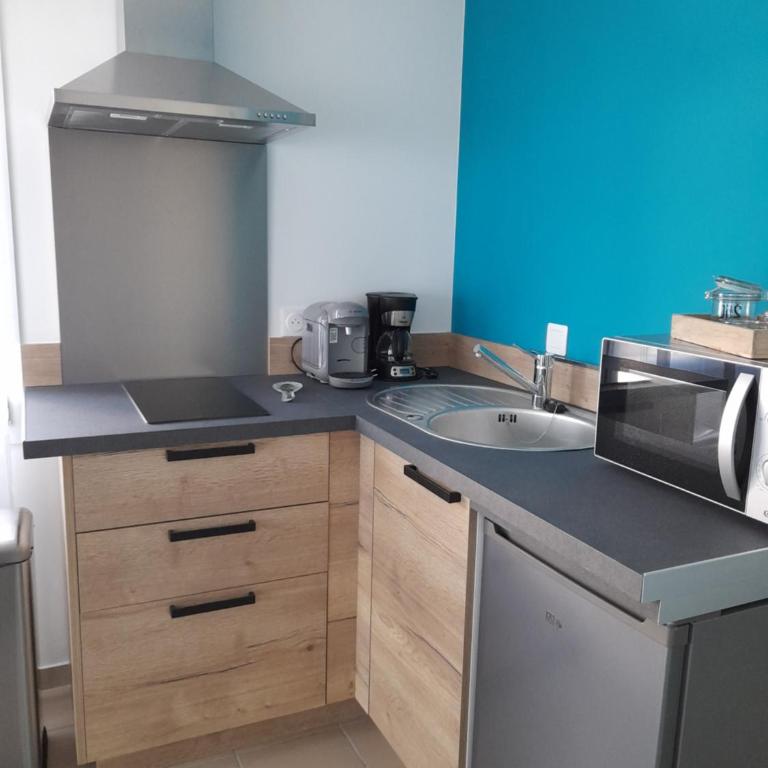 La Pépite de l'océan - Appartement 1 Chambre - 7