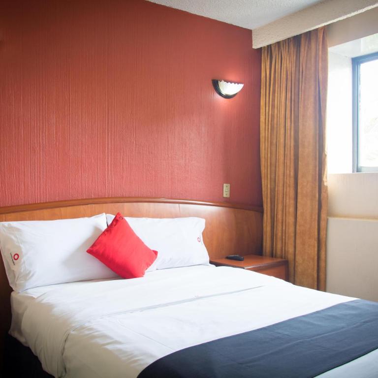 Hotel Santa Maria - Economy - 1