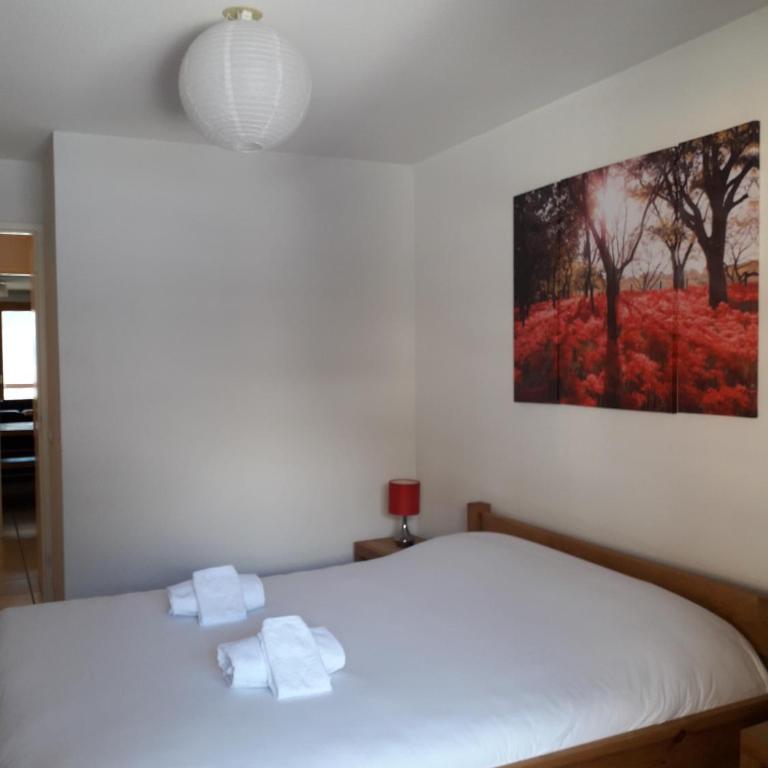 Deluxe Ski and Summer Apartment, Parking and WiFi - Deluxe Apartment - 18