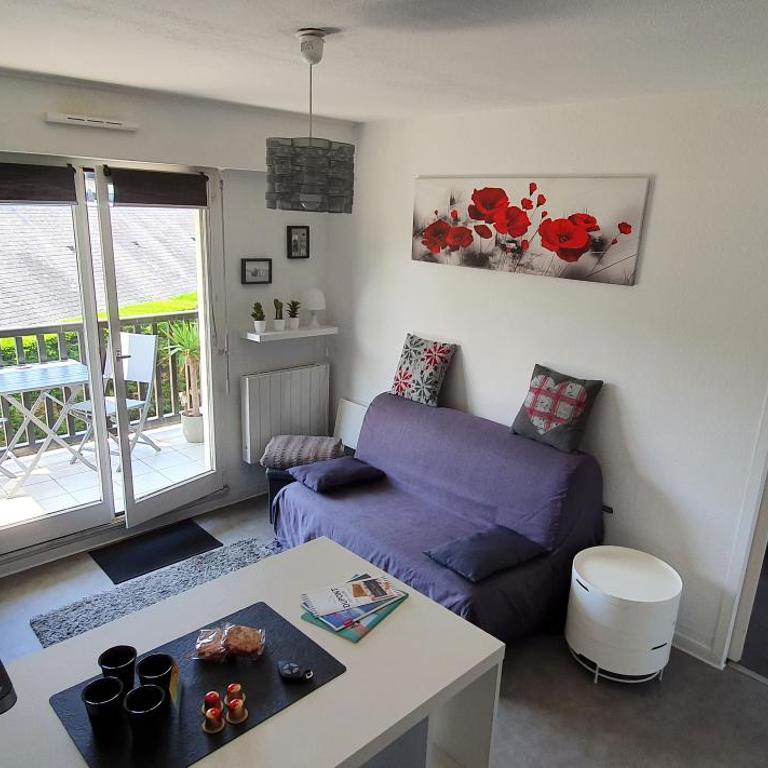 Résidence Front de mer Cabourg - Accès direct plage - One-Bedroom Apartment - 2