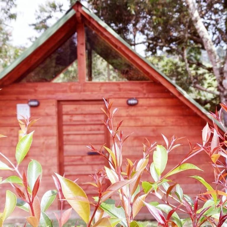 Glamping Rionegro- arrayanes - Casa de campo - 16
