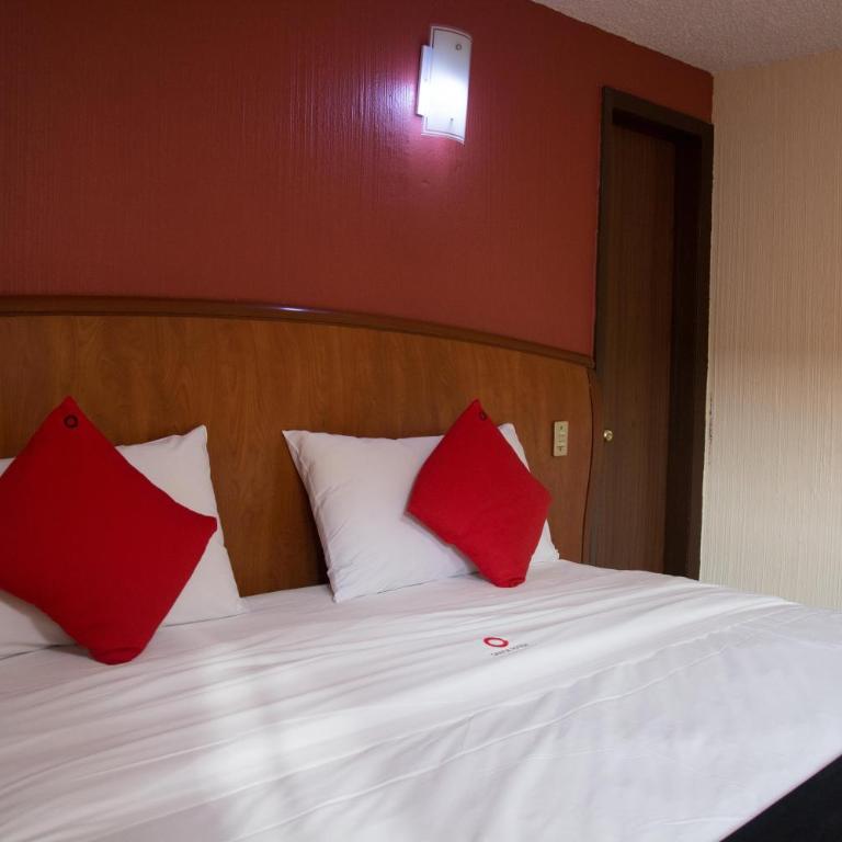 Hotel Santa Maria - Standard - 3