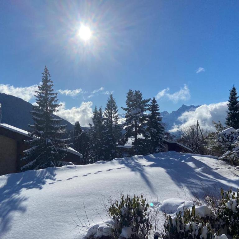 Rose des Alpes - Apartment mit 2 Schlafzimmern - 10