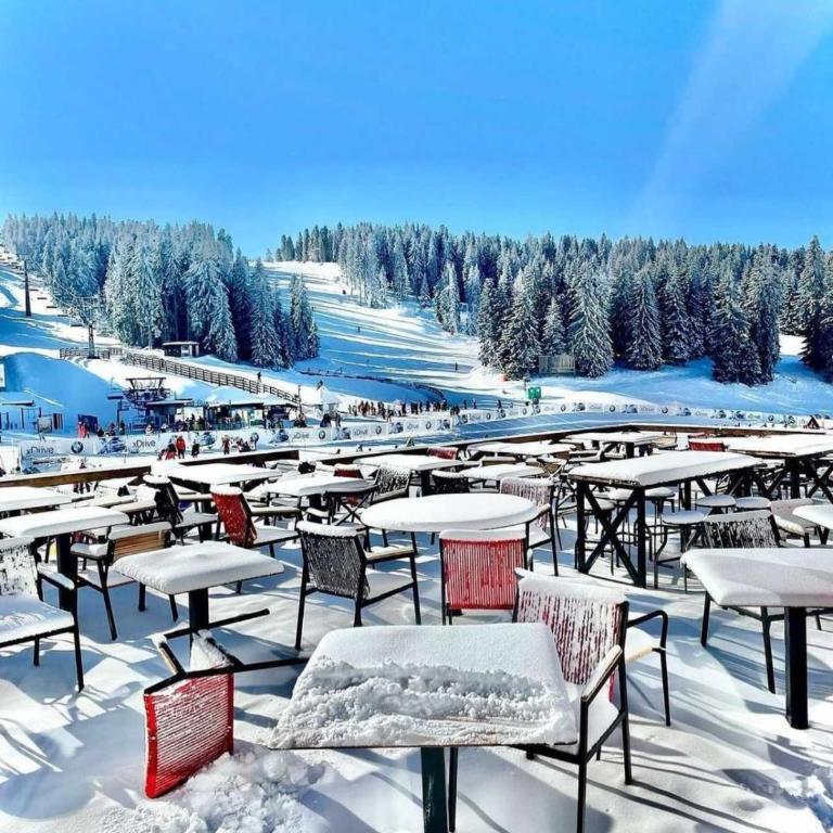 Milmari Future Gold Apartmani Kopaonik - Apartman sa 1 Spavaćom Sobom - 3
