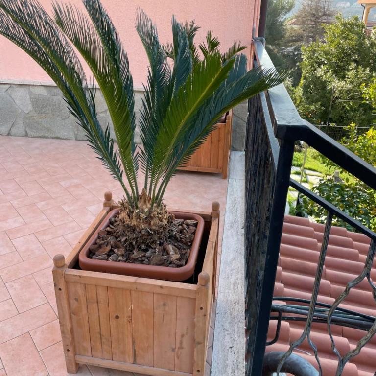 APARTMENT Aurora & Nicole IDEAL per bike 1 free parkings large e wi-fi free e x family mtb climbing con terazza vista mare - Appartamento con Balcone - 44