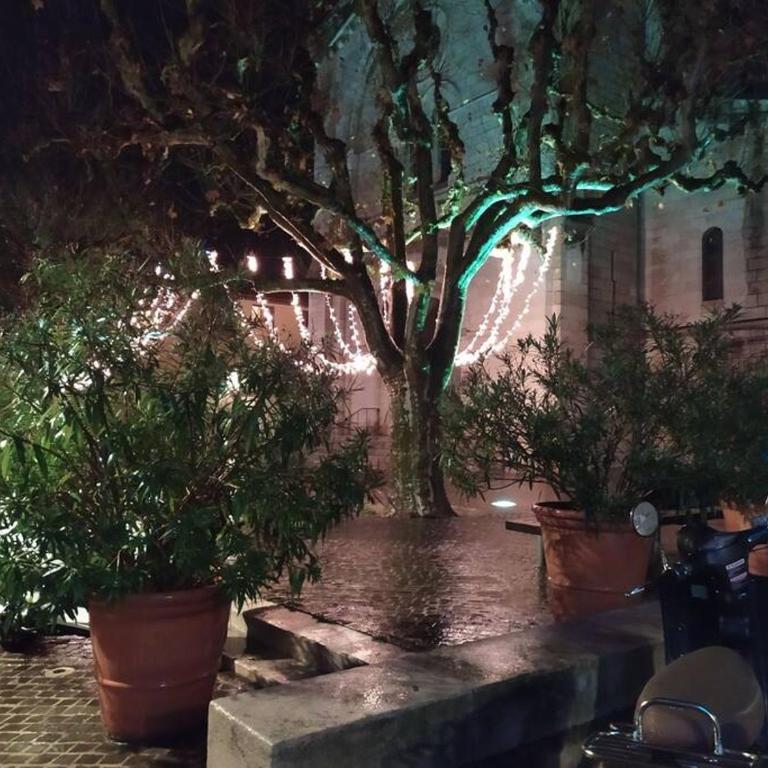 Charmant studio au cœur de Cassis - Studio - 11