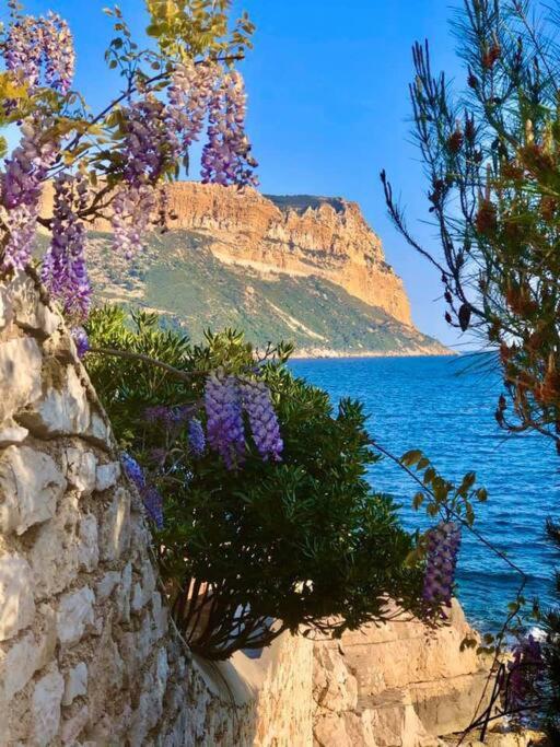 Charmant studio au cœur de Cassis - Studio - 38