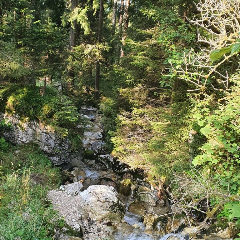 Mountain Pearl - Apartment mit Badewanne - 31