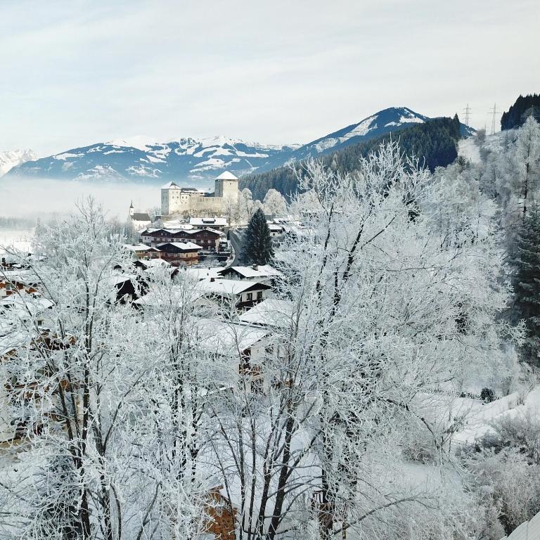 Apartment Zachary- 2 Bedroom -Austrian Alpine Getaways - Two-Bedroom Apartment - 31