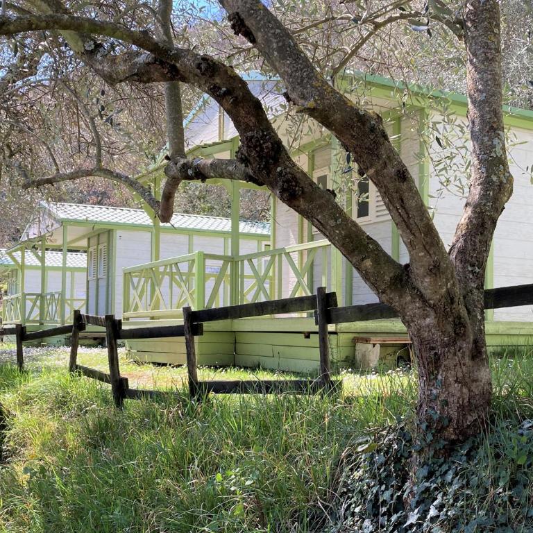 Camping Domaine Sainte Madeleine - Chalet 2 Chambres - 2