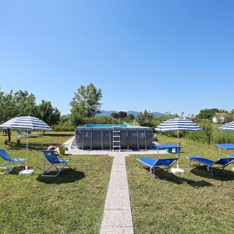 "La Casa di Carla", Lucca countryside, with private swimming pool and garden - Casa con 4 camere da letto - 17