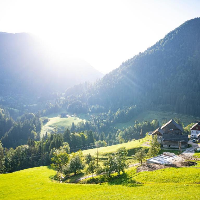 Köck-Chalet - Chalet - 43