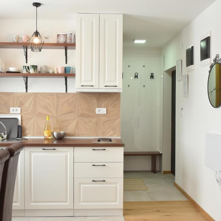 Pegaz Premium Apartman Privatan Parking - One-Bedroom Apartment - 8