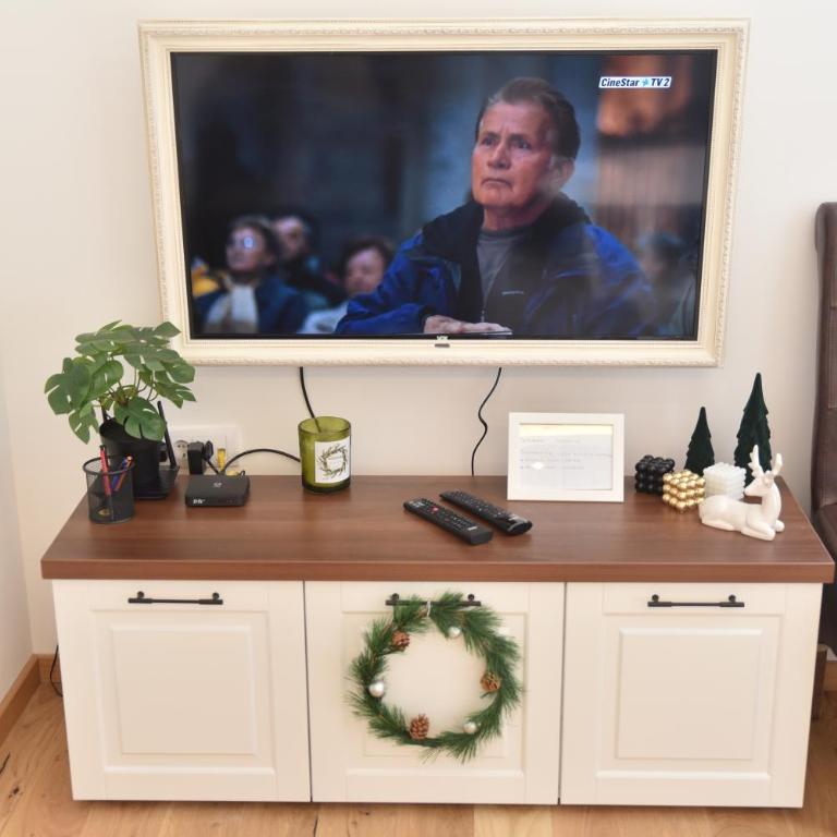 Pegaz Premium Apartman Privatan Parking - One-Bedroom Apartment - 17