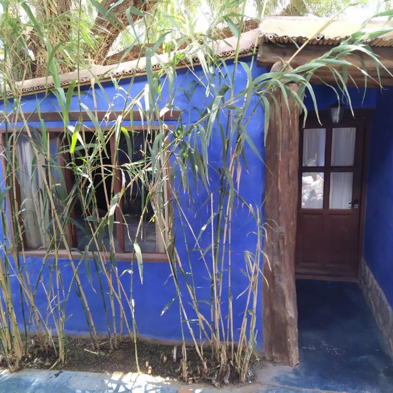 Piedra Campana alojamiento - Apartamento de 1 dormitorio - 1