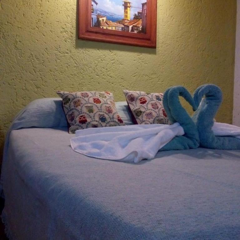 Architerra - Apartamento de 2 dormitorios - 2