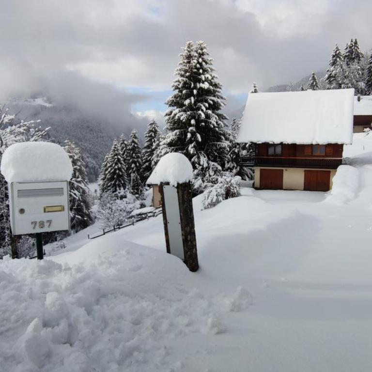 Chalet l'Alpe - Chalet 3 Chambres - 3